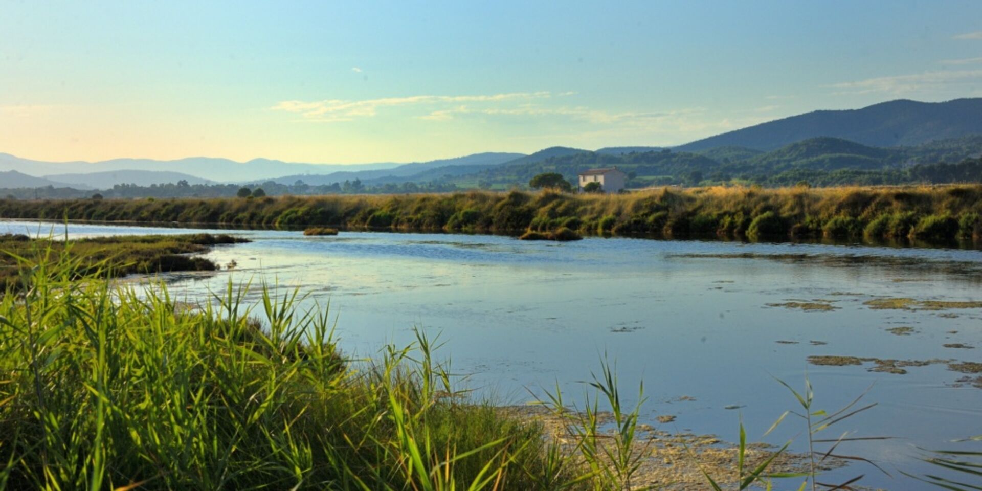 Bird reserve in the South of France