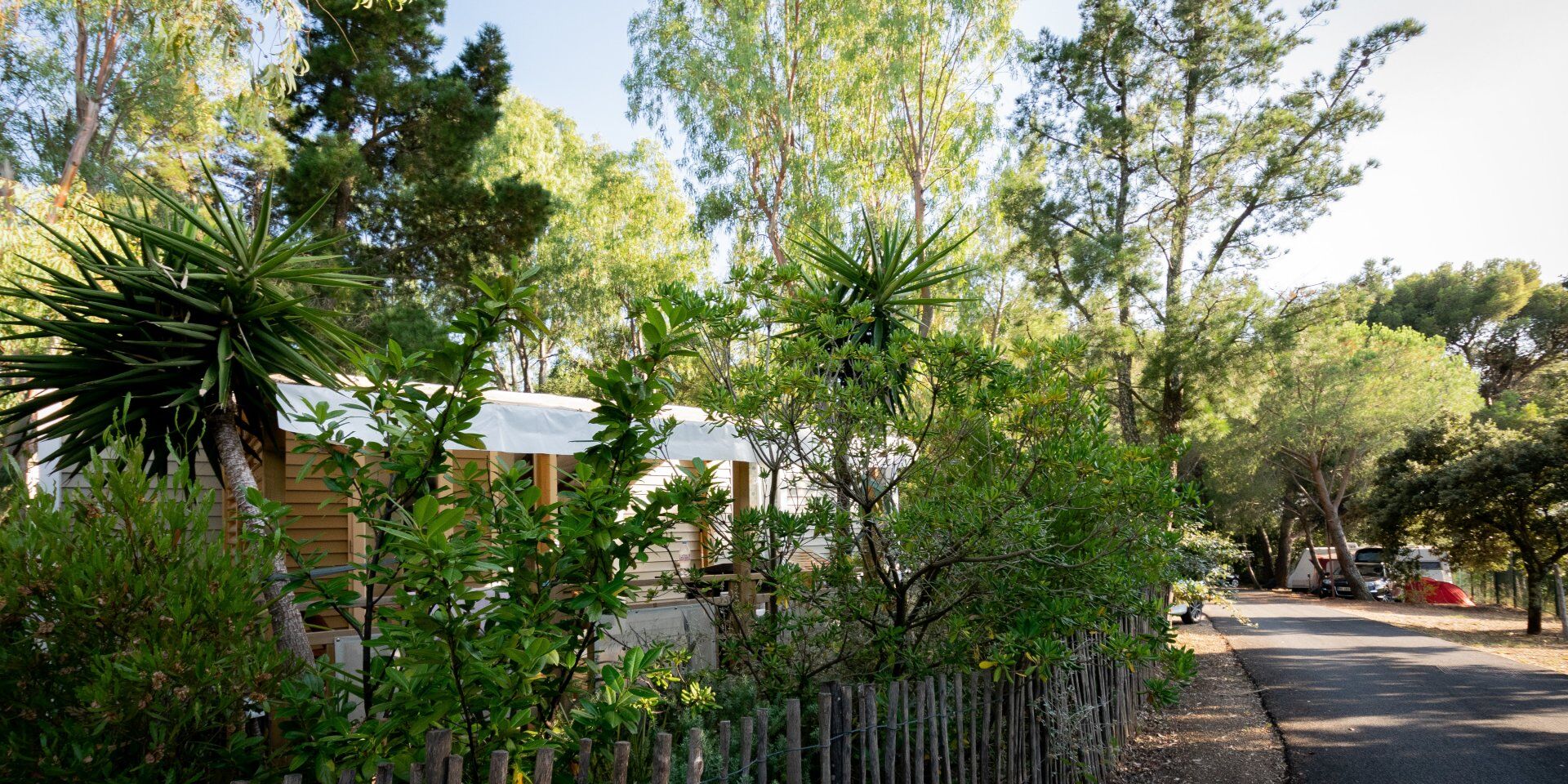 Exceptional vegetation - Seaside campsite