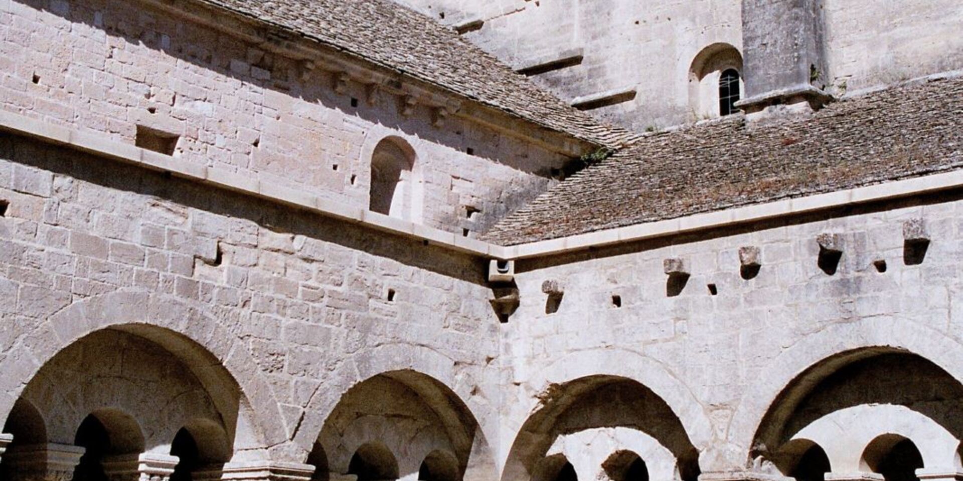 Sénanque Abbey and lavender