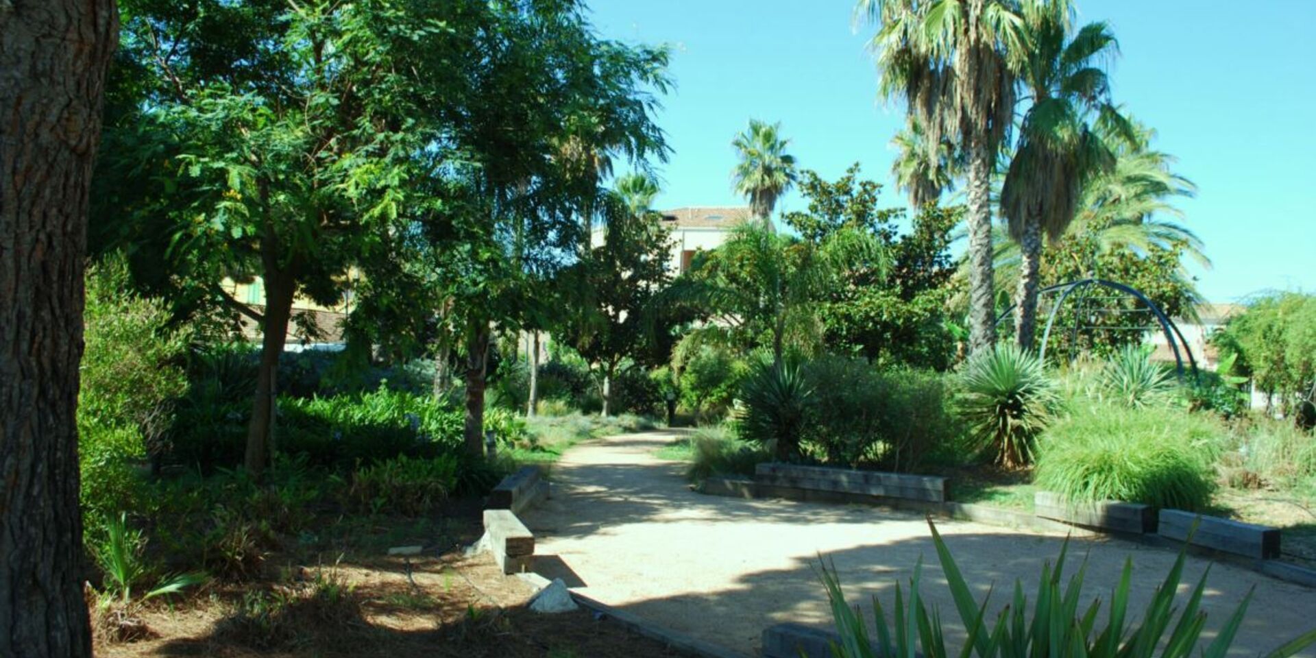 Nature wooded camping holiday, in the Provence