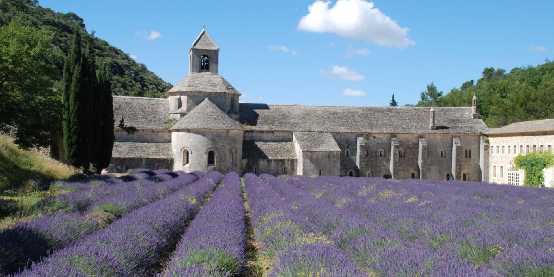 Sénanque Abbey – the Vaucluse area's spiritual heritage