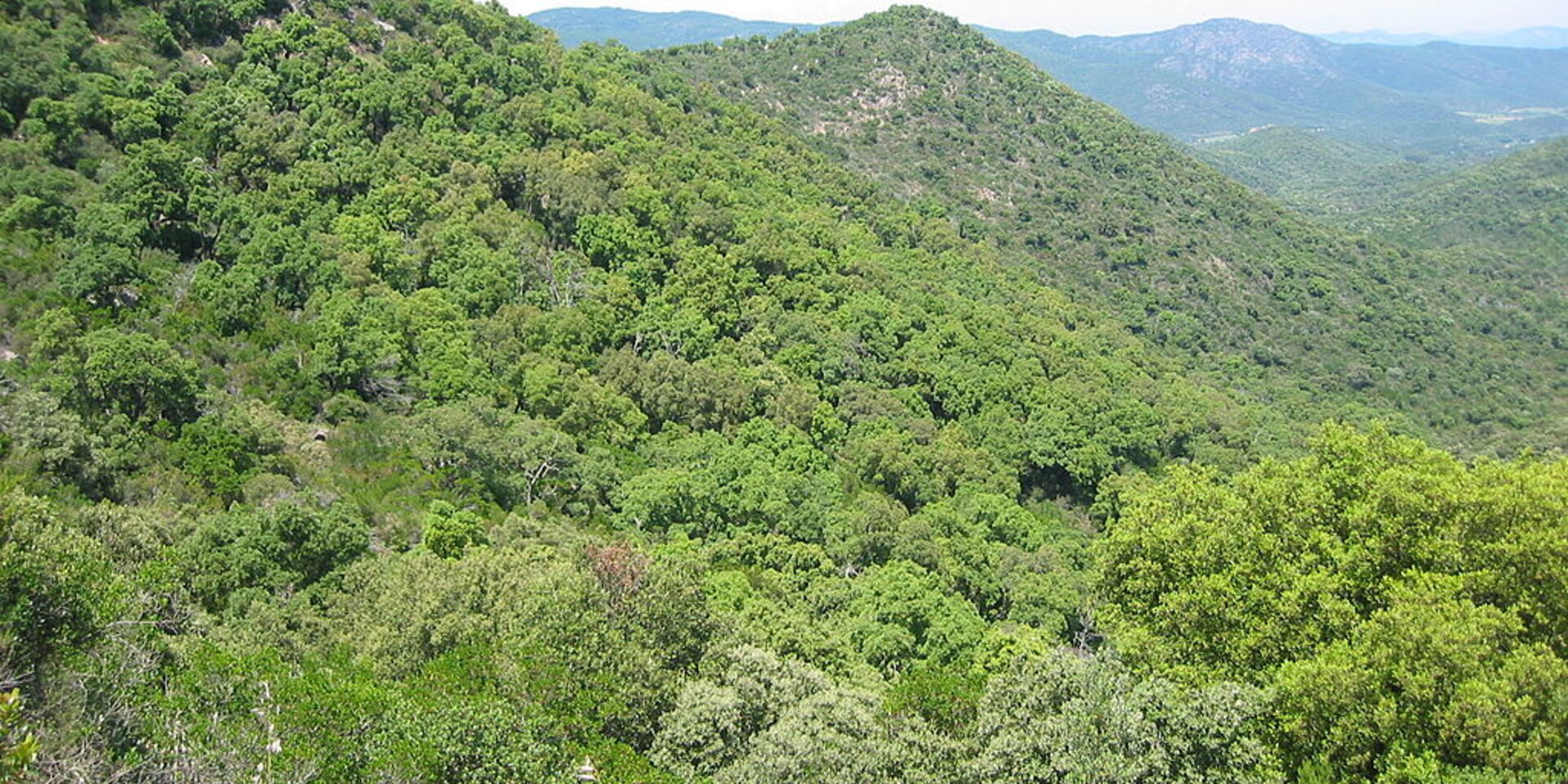 Maures hills between Hyères and Saint-Raphaël in the Var area