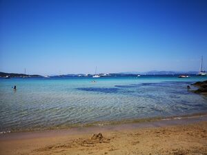 Campsite near the beaches of Porquerolles