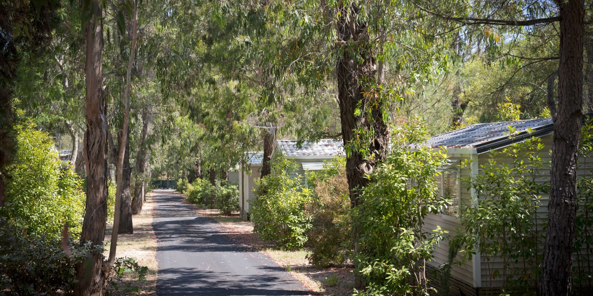 Eco-friendly, organic, natural campsite in the Var, French Riviera-Côte d'Azur