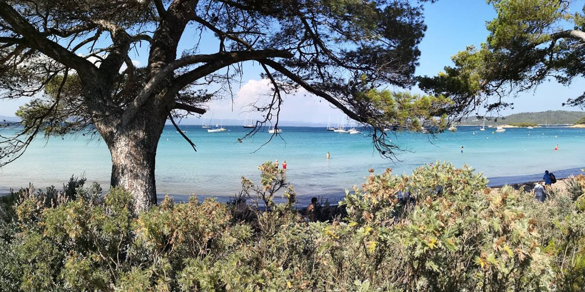 From the campsite to Porquerolles: boat bus from La Londe port