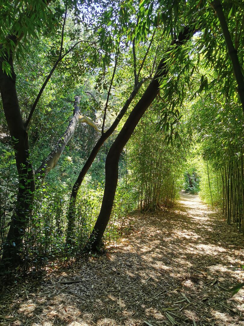 Discover the Jardin Botanique du Réal in Puget-Ville, just 30 minutes ...