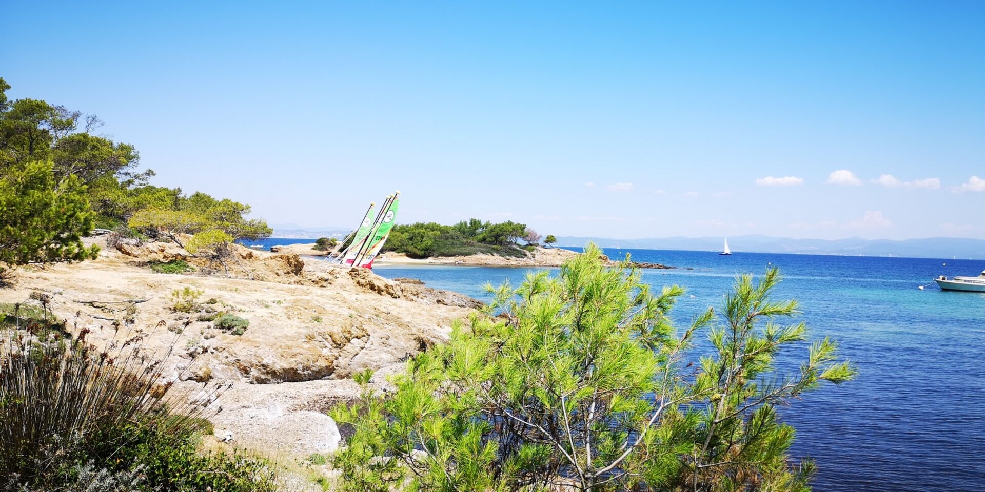 A dog-friendly beach on Porquerolles island