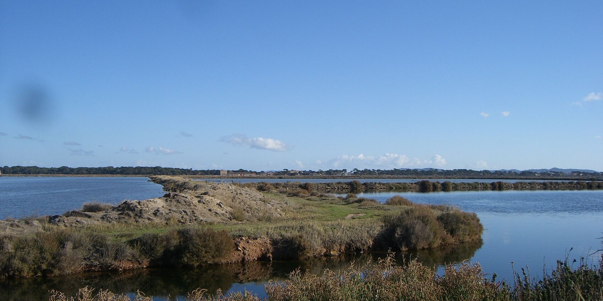 Hyères saltmarshes near Giens