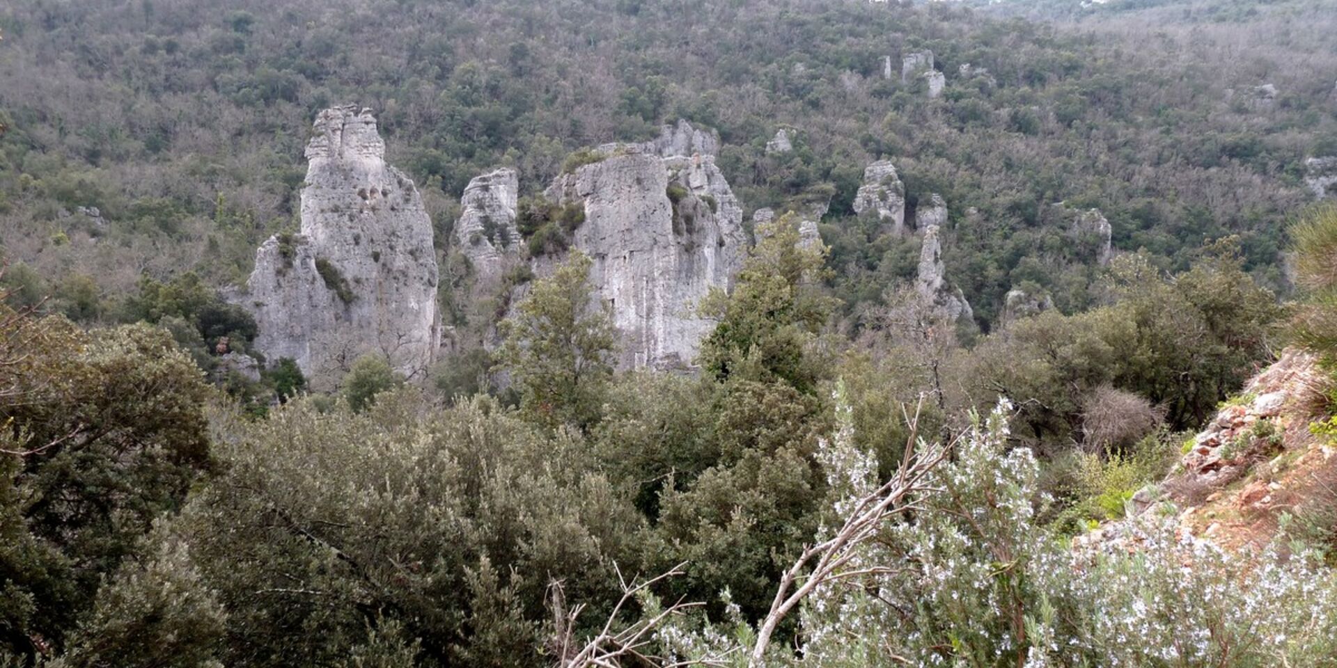 Hiking in Provence