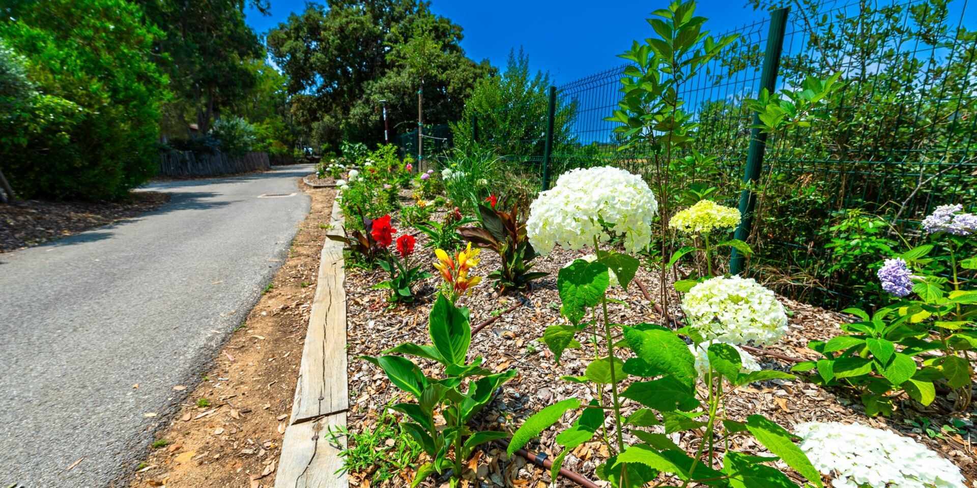 Eco-friendly nature campsite Côte d'Azur