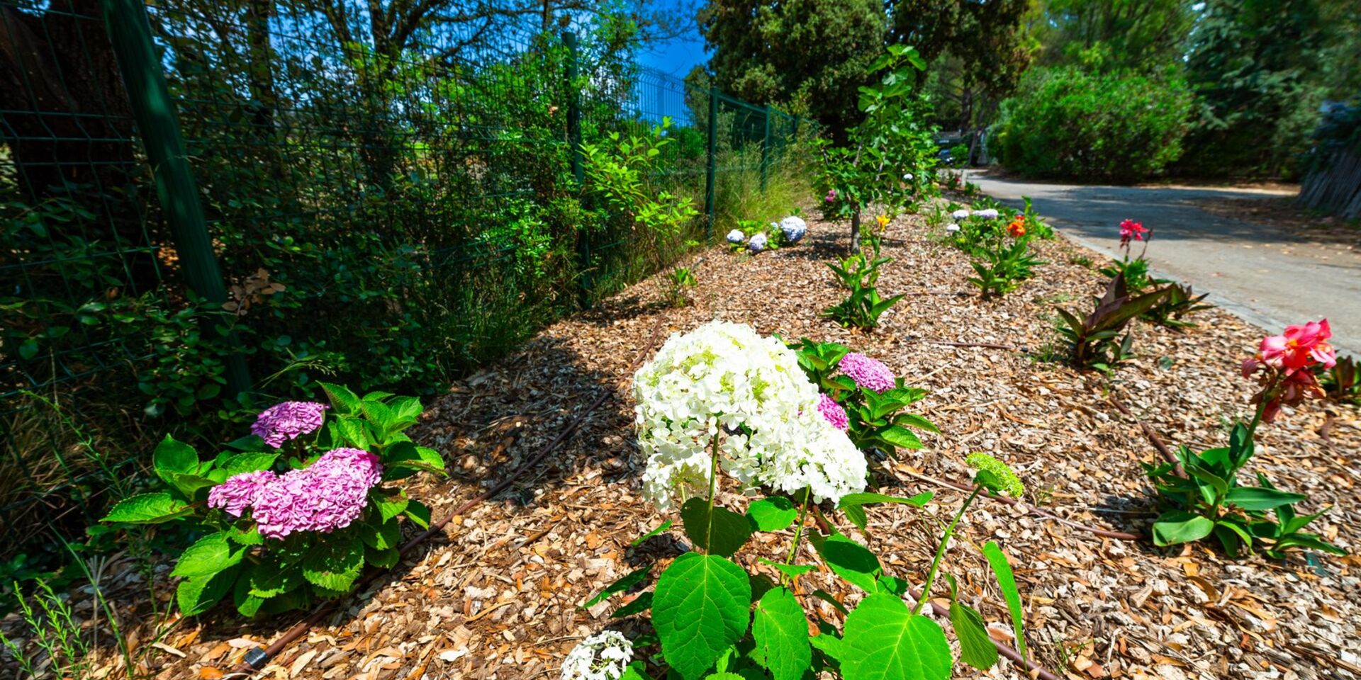 Eco-friendly family campsite in the Var