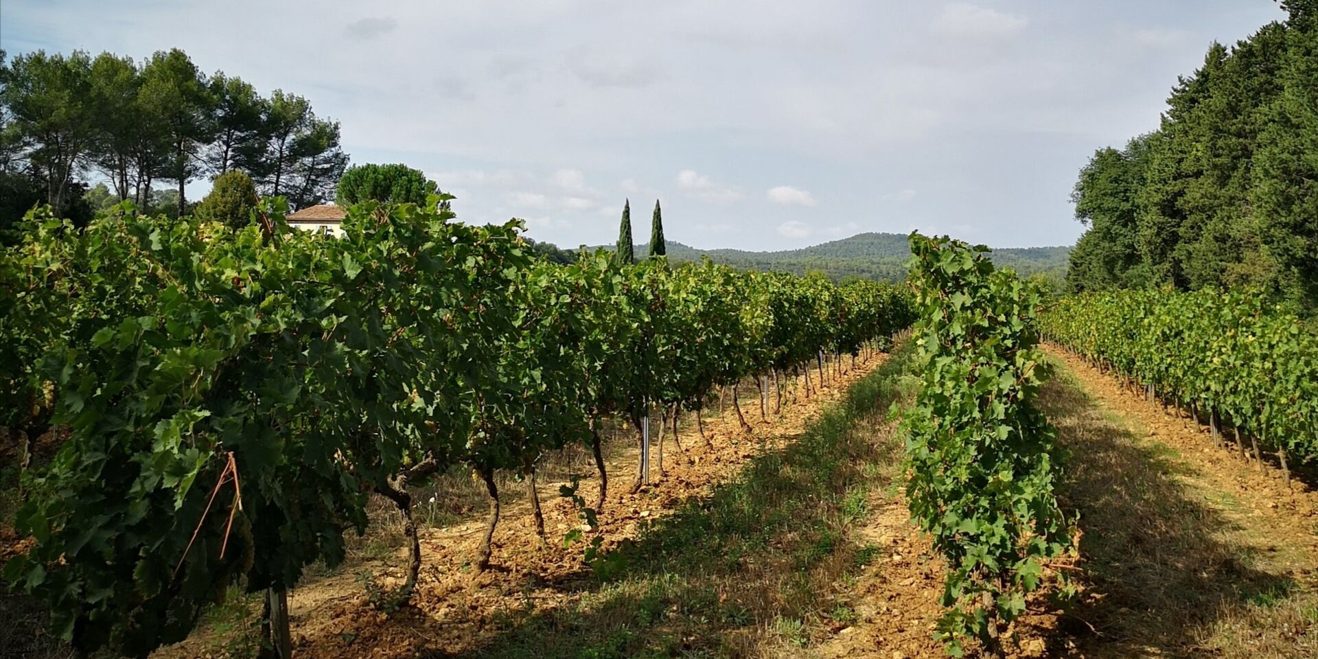 Wine tourism Var