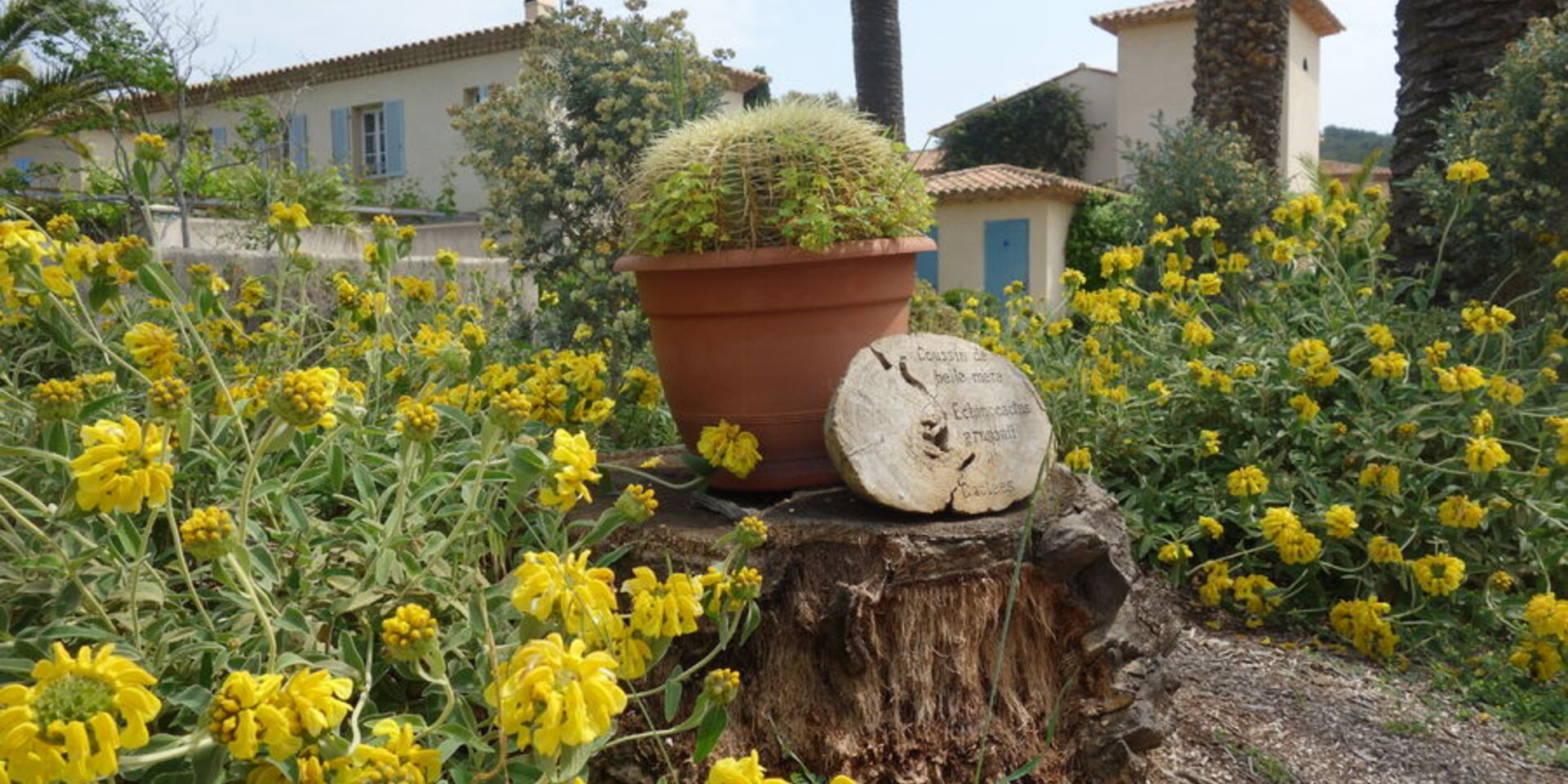 A family excursion to Porquerolles island